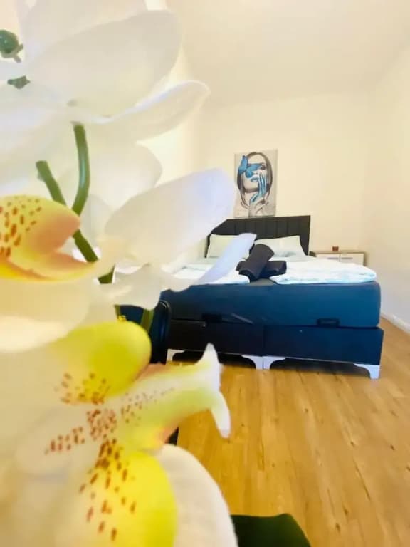 Spacious 4BR for 15 & 15 Min to Danube - photo 1