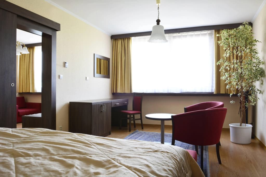 Hotel Olympik - photo 7