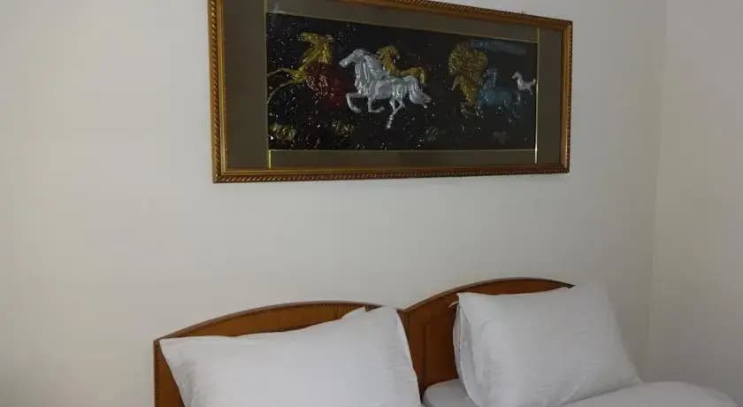 Shree Balaji Residency - photo 7
