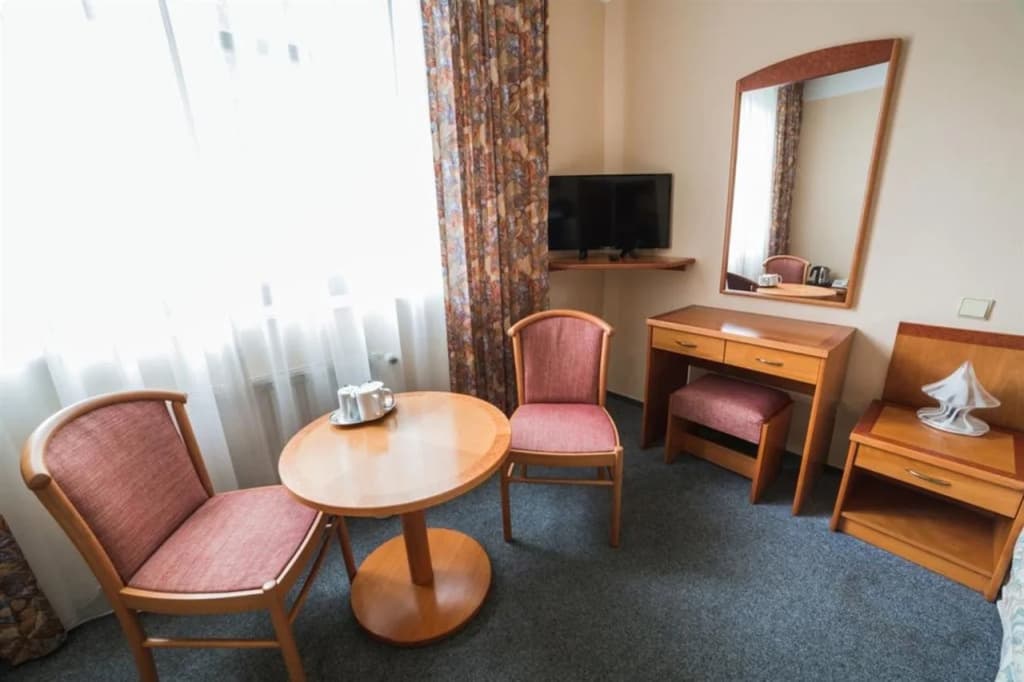 Hotel Dalimil - photo 5