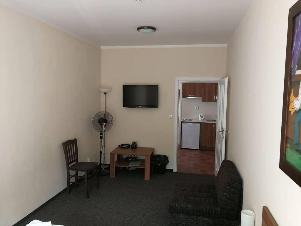 Apartments U Svejku - photo 5