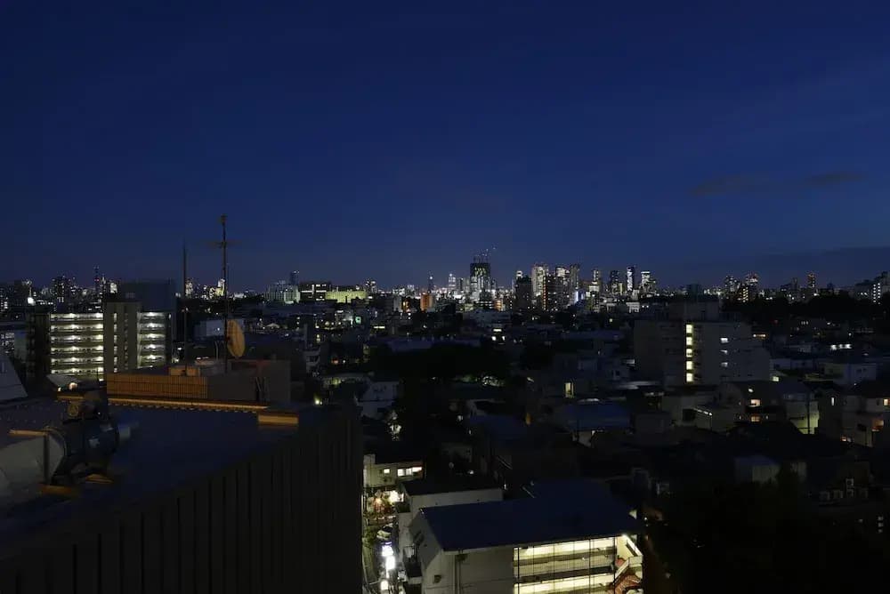 Hotel Linden Ikebukuro - photo 24