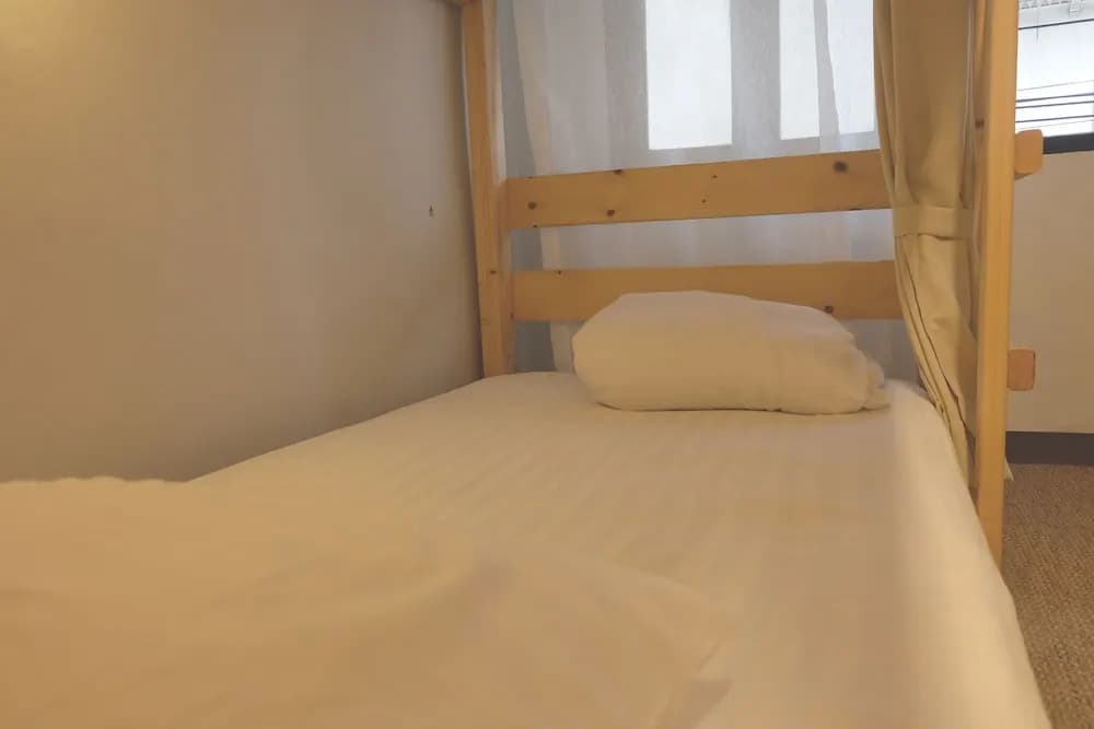 Fat Cat Hostel - photo 4
