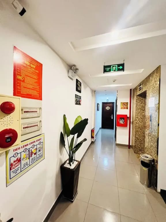 239 Hotel - photo 15