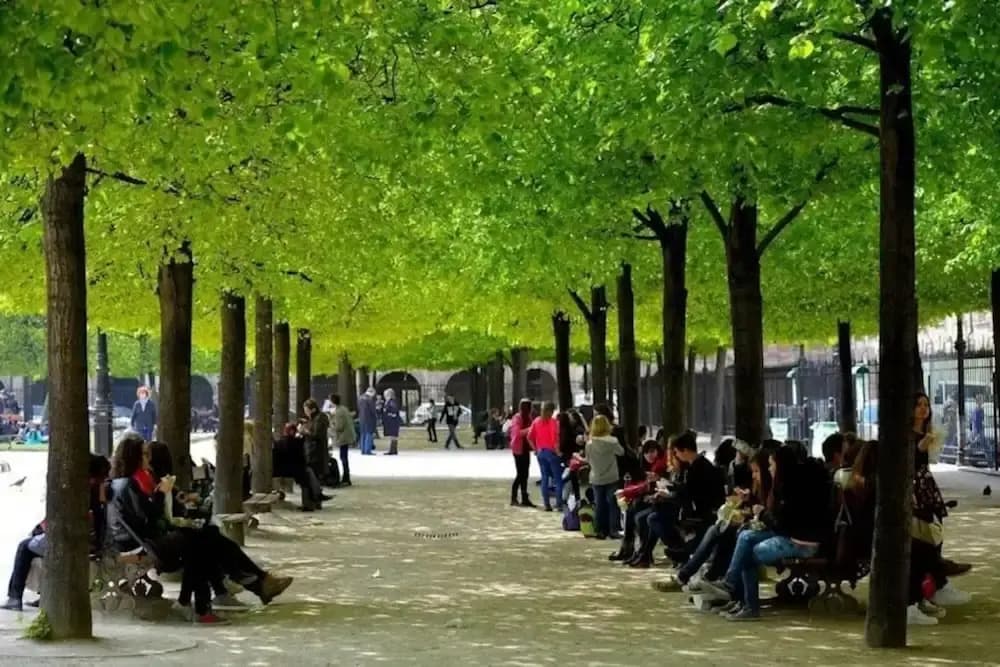 Le Marais Gem - photo 13
