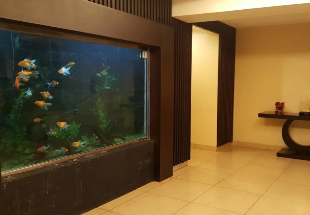 Rota Hotel - photo 17