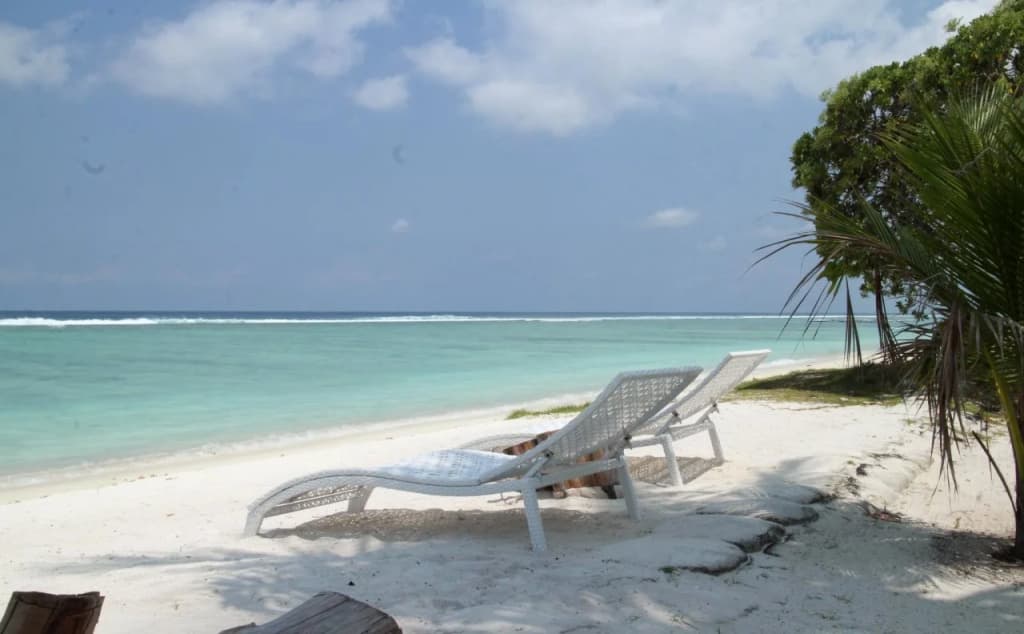 Island Beach House - photo 14