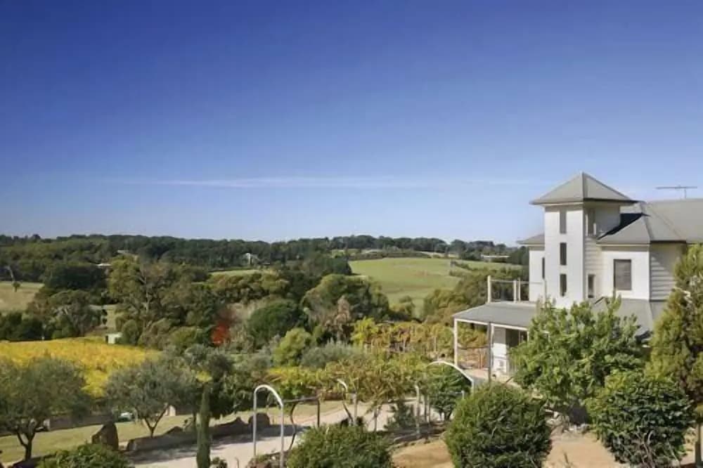 Morning Sun Vineyard - photo 7