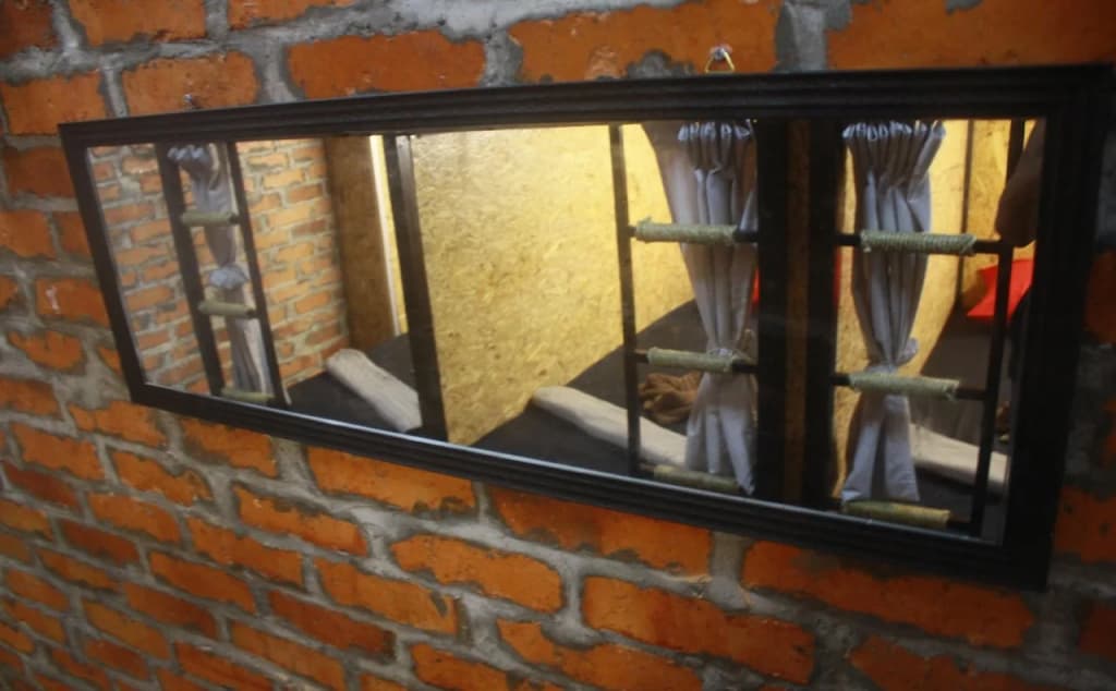 THE BUNK BACKPACKERS HOSTEL by fleur - main photo