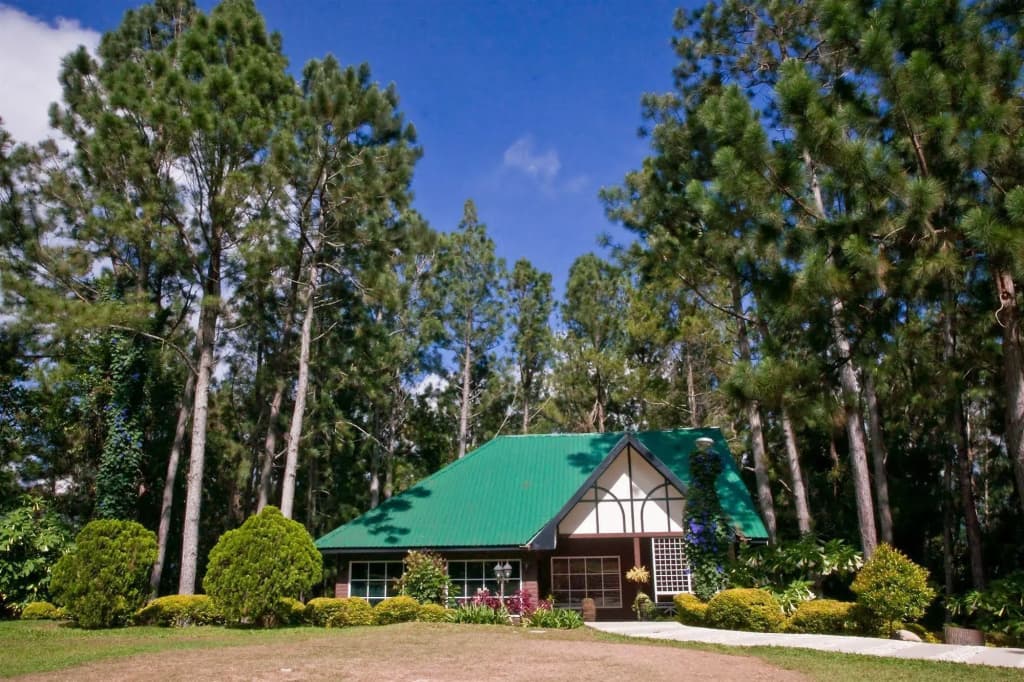 Perkasa Hotel MT Kinabalu - photo 8