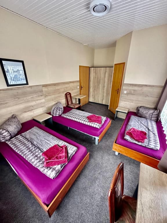 Pension Pamina - photo 21
