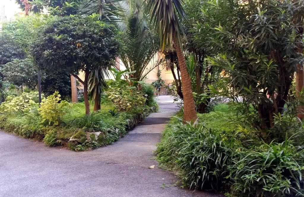 Fiocca - photo 15