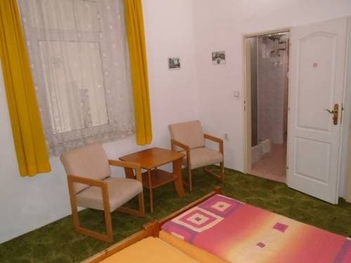 Pension Dobroucky - photo 13