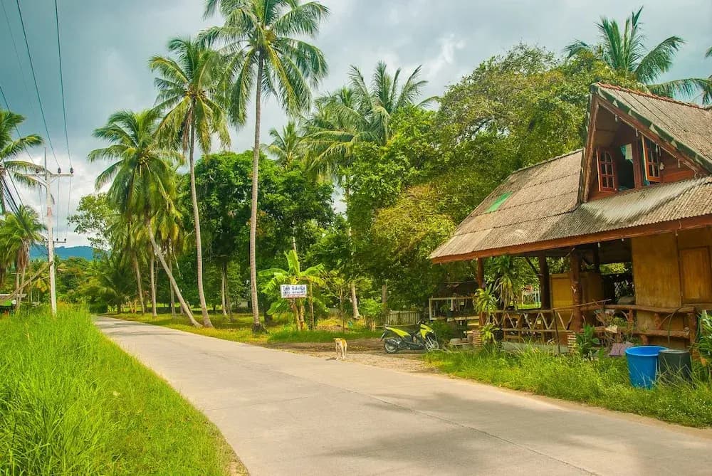 Thai Resort - photo 7