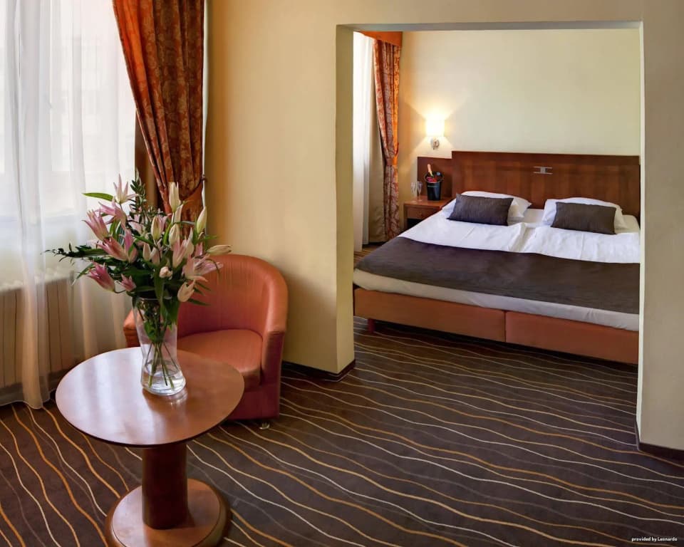 Luxury Family Hotel Bila Labut - photo 5