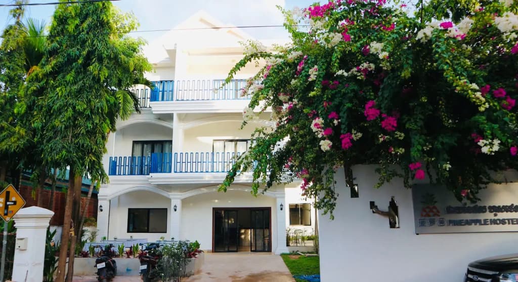 Pineapple Hostel - photo 1