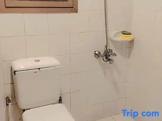 Happy Camel Hostel - photo 1