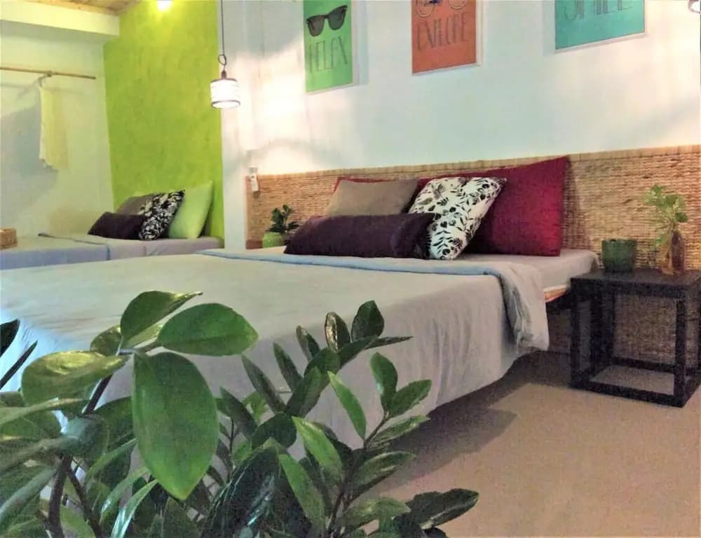 Domino Homestay - photo 3