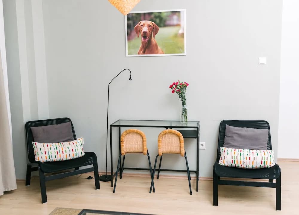 Dfive Apartments - Vizsla - photo 3
