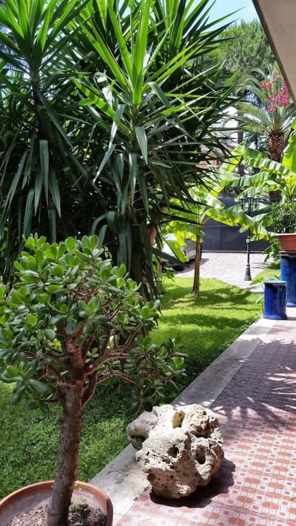 Il Giardino di Giulia 2 - photo 28