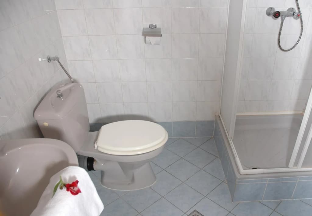 Hotel Fortuna - photo 4
