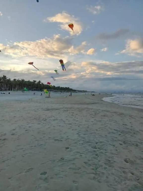 Pearl Beach Homestay - photo 20