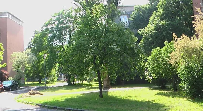 Parking Free Apartments - photo 10