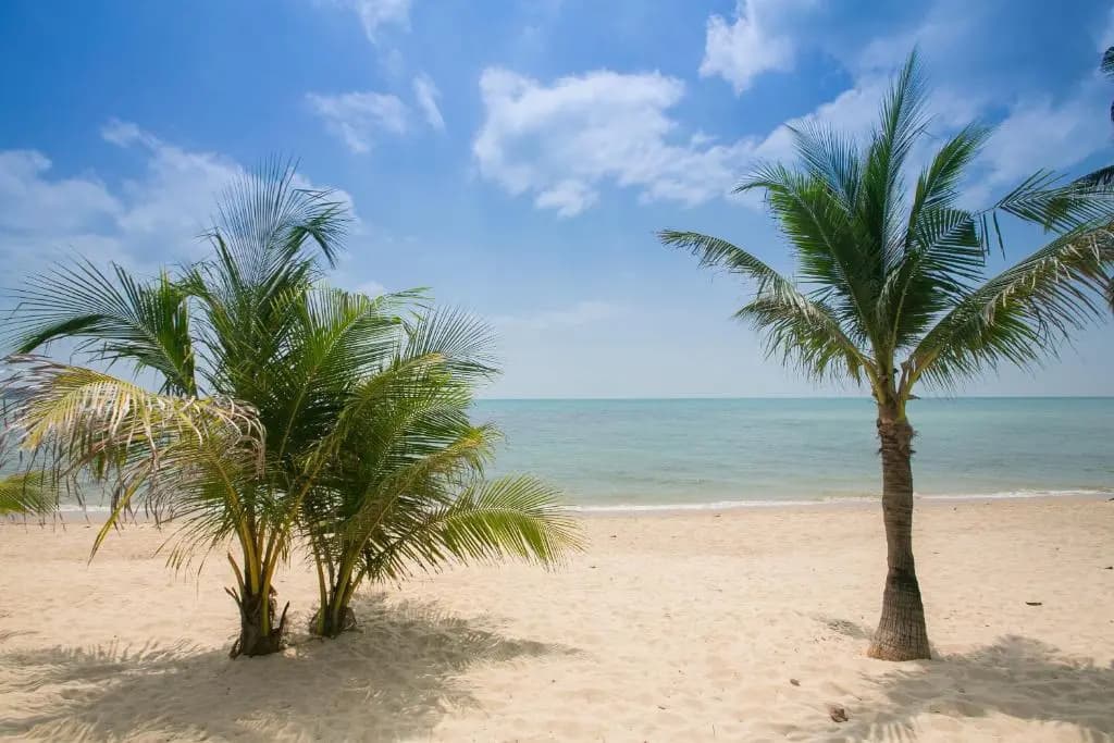 Lamai Resort - photo 9