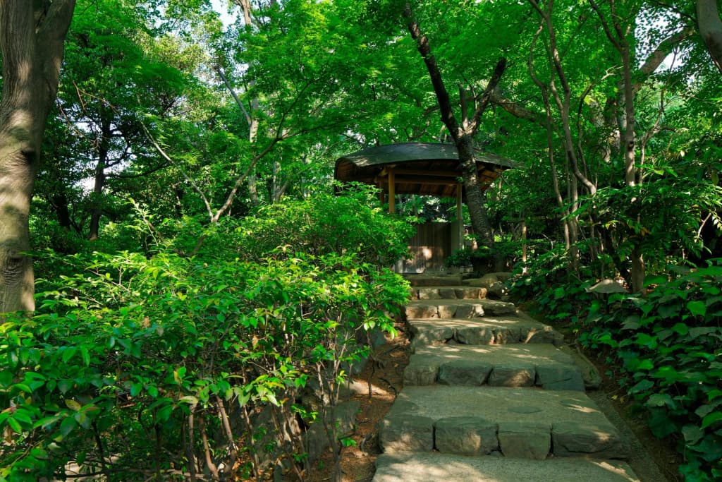 The Prince Sakura Tower Tokyo, Autograph Collection - photo 43