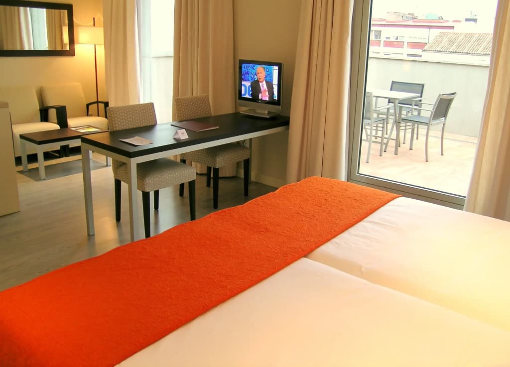 Suites Viena Plaza De Espana Hotel - photo 13