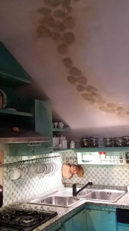 Trastevere 2 - photo 14