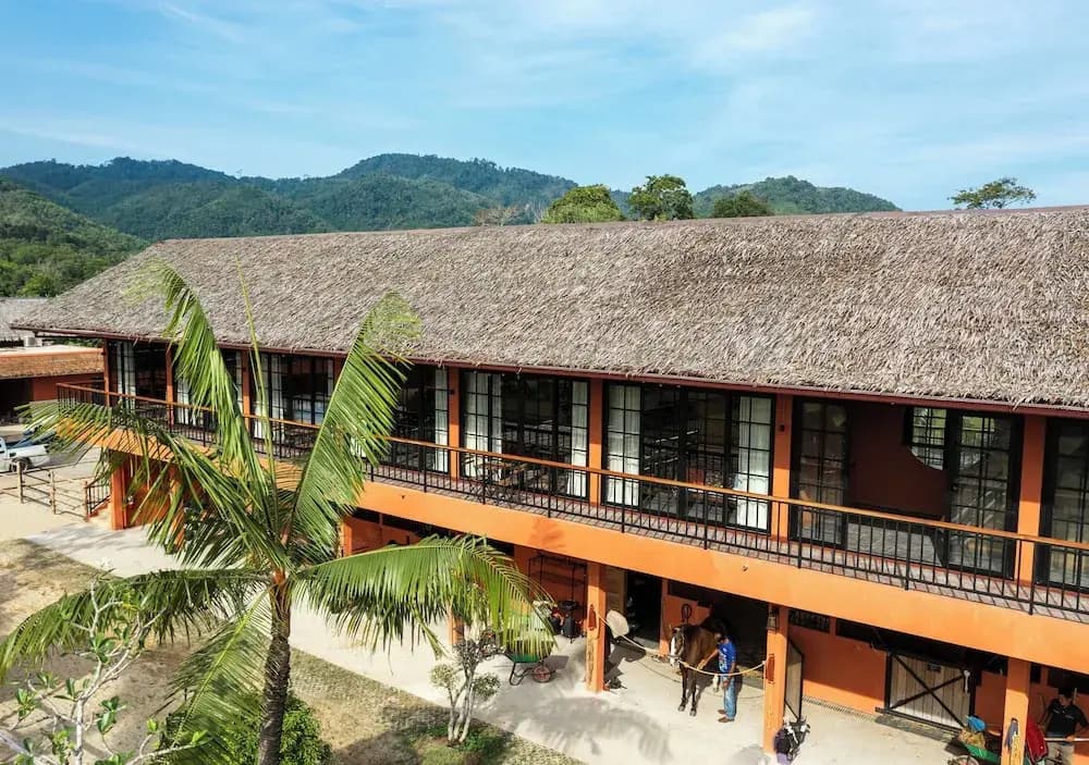 Niran Farm - photo 10