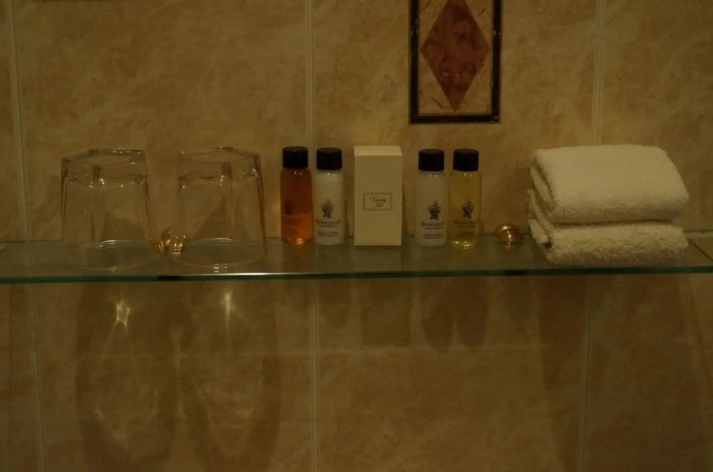 Manor Boutique Hotel - photo 10