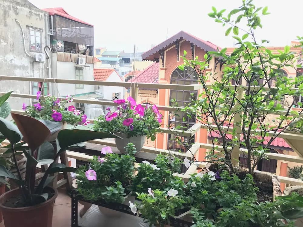 The Rose Home - photo 12