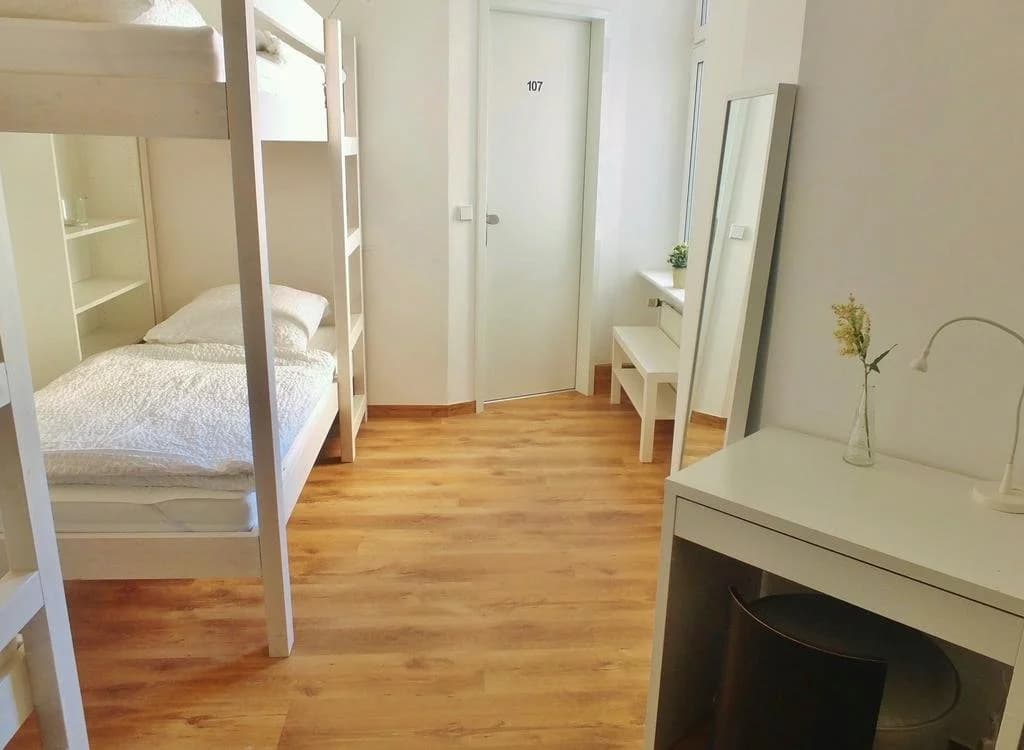 Hotel Hostel Zafir - photo 1