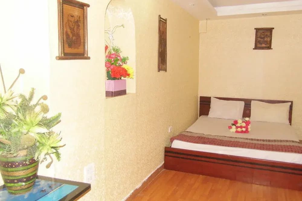 Home Backpackers Hostel - photo 8