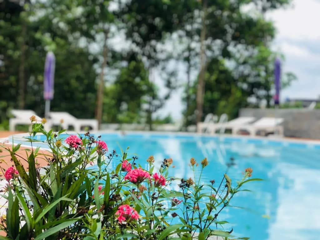 Doi Sao Phu Quoc - photo 11