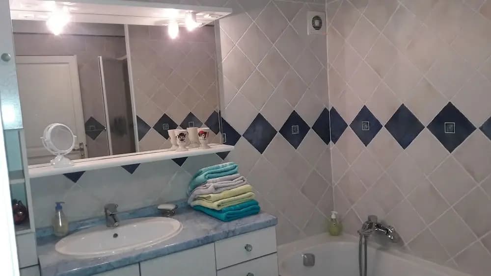 Grand Appartement Durandi Dernier Etage - photo 9