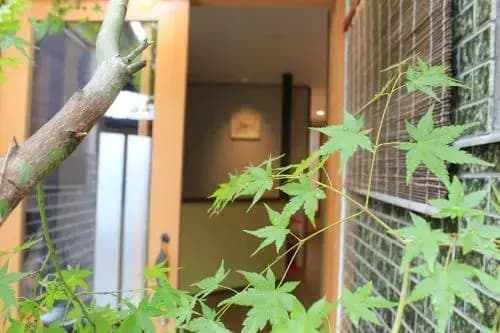 Expo Cottage 3 - photo 1
