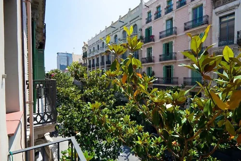 Nisia - photo 1