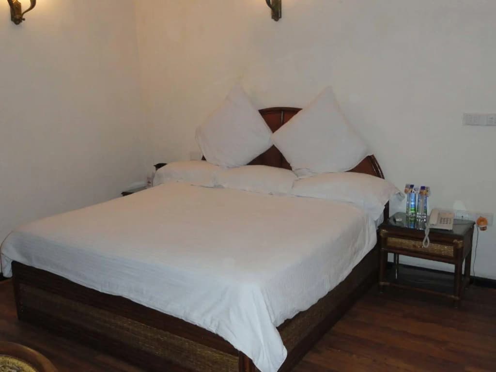 Hotel Rani Castle - photo 3