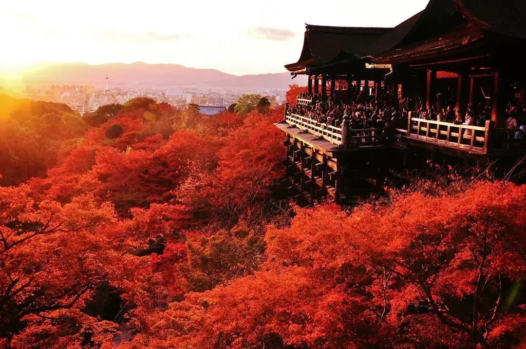 Ryokan Ohto - photo 12