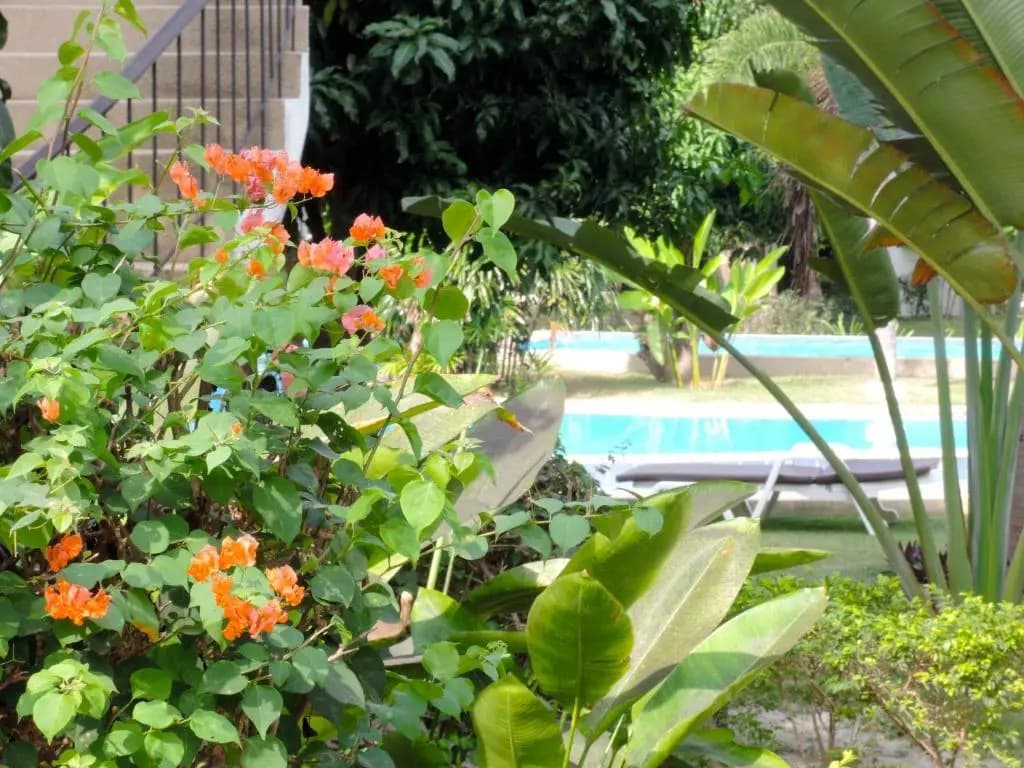 Mango Spa Country Club - photo 9
