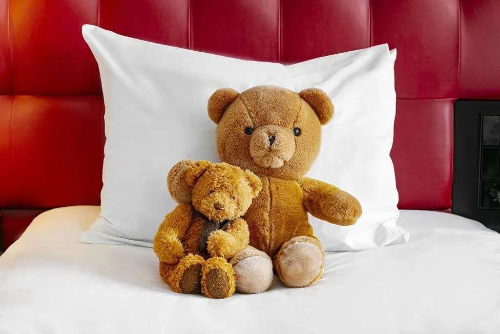 Crowne Plaza Amsterdam South by IHG - photo 38