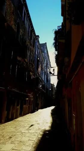 BB Venice - photo 5