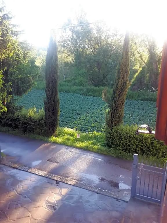 B&B Due Abeti - photo 6