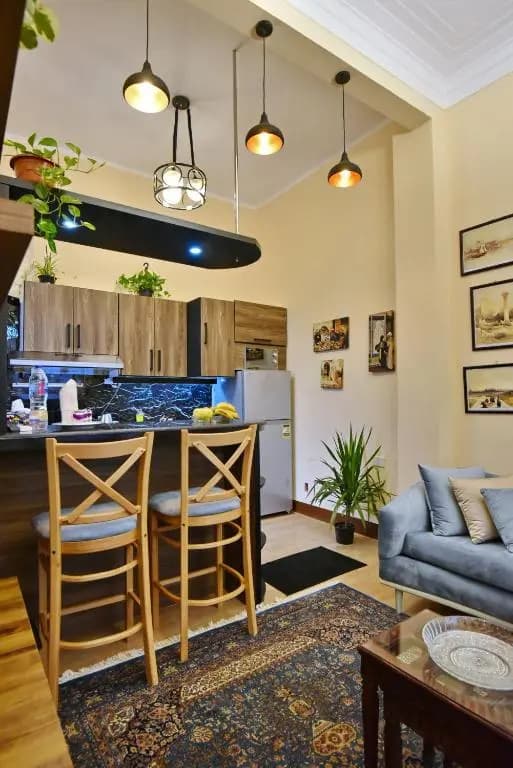 The Place 3 charming downtown apartment - photo 10