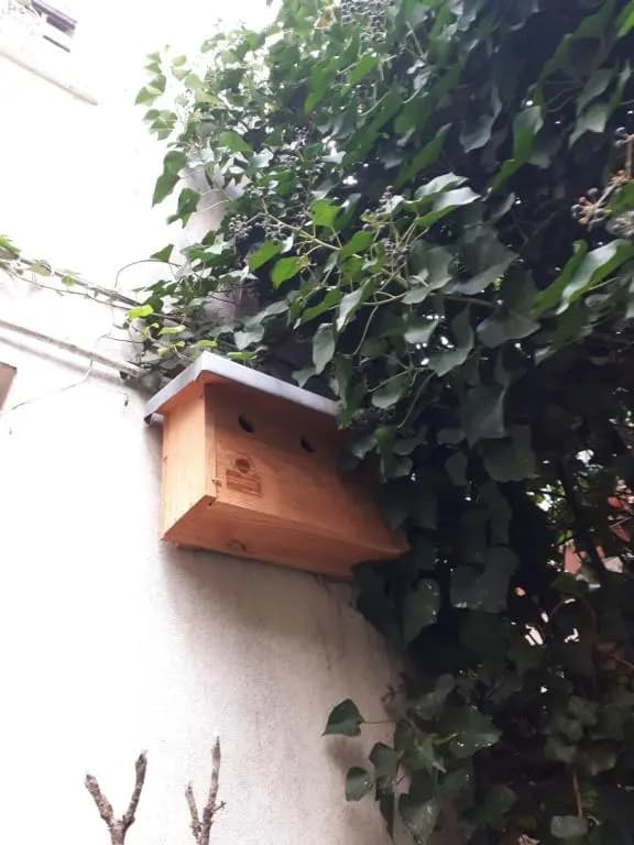 Le nichoir aux oiseaux - main photo