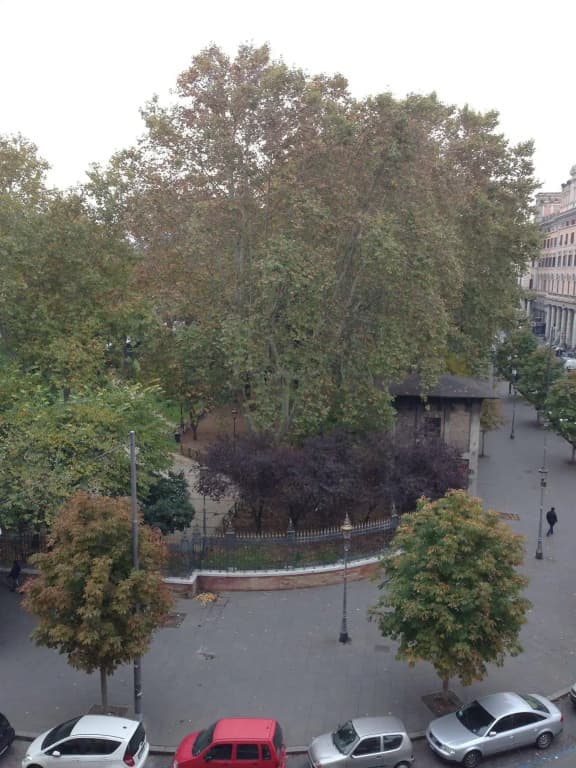 Maikol - photo 15