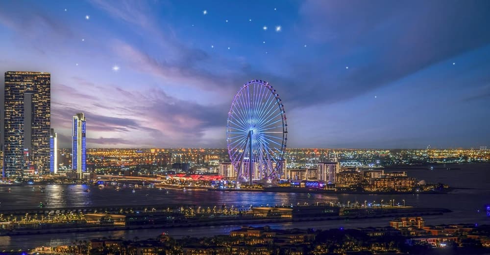 LUX Iconic Views at Palm Tower Studio 5 - photo 20